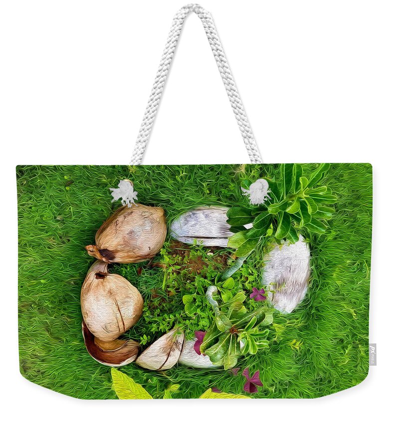 Coconut Husks Weekender Tote Bag featuring the photograph Husks in the Garden 1 by Aldane Wynter