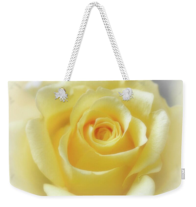 Rose Weekender Tote Bag featuring the photograph Hybrid Tea Rose - Yellow by Yvonne Johnstone