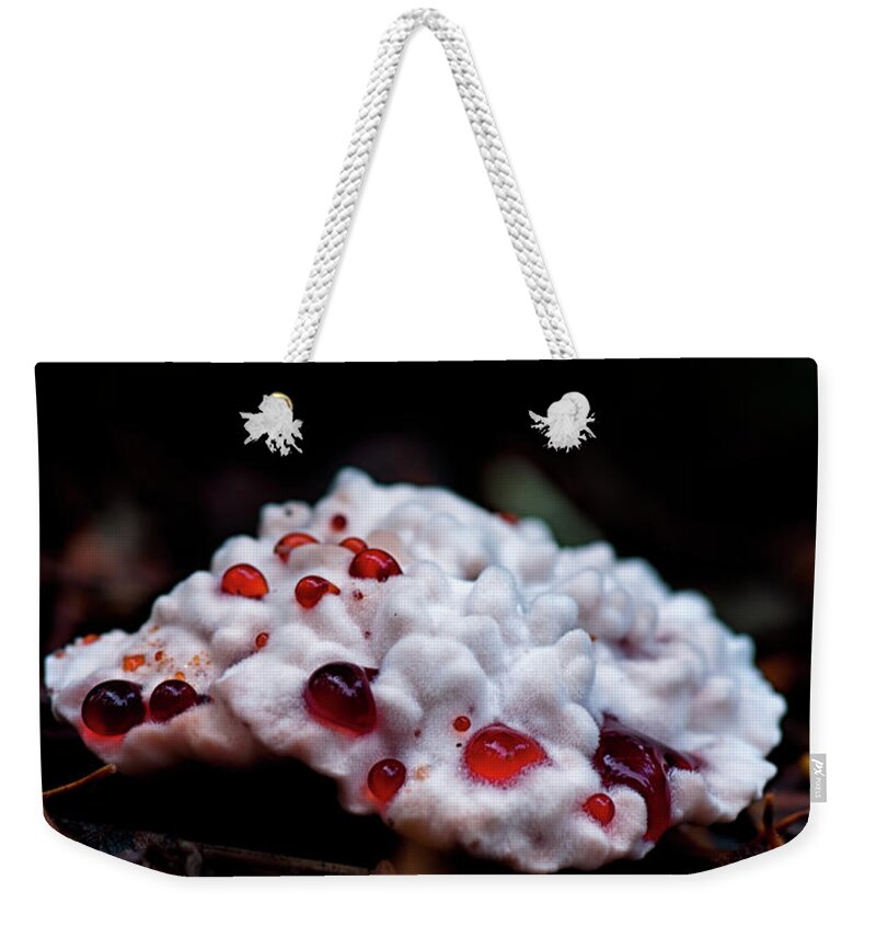 Betty Depee Weekender Tote Bag featuring the photograph Hydnellum peckii by Betty Depee