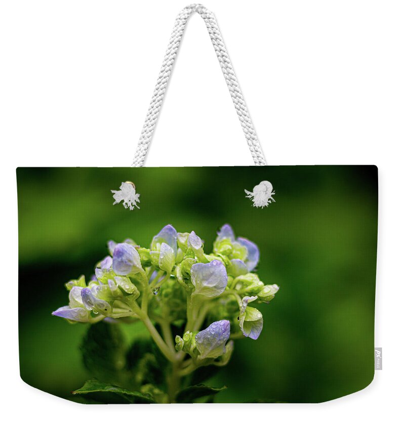 Botanical Weekender Tote Bag featuring the photograph Hydrangea and Rain by Randy Bayne