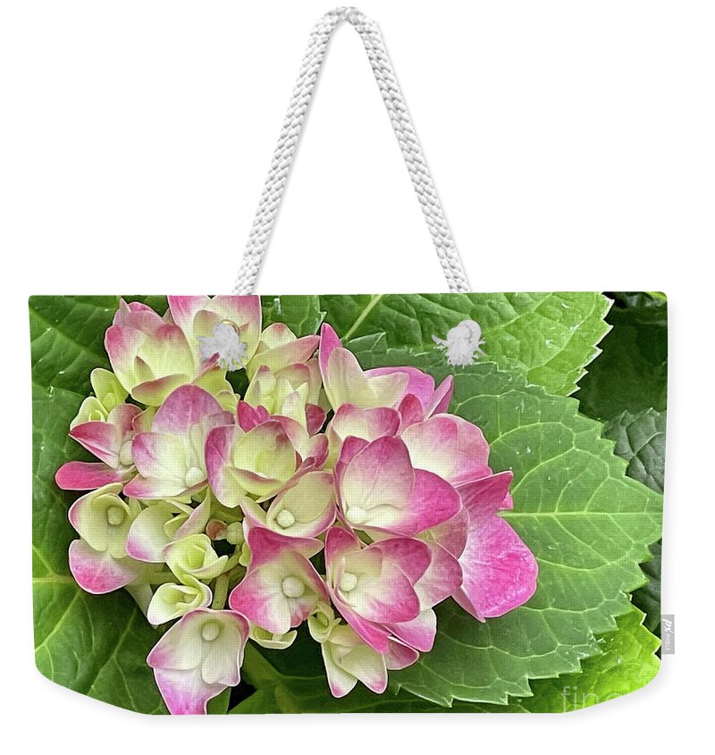 Spring Weekender Tote Bag featuring the photograph Hydrangea by Cathy Donohoue