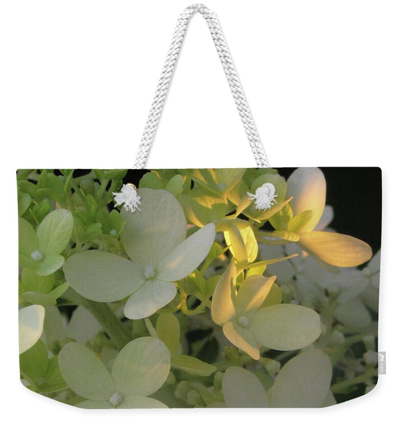 Hydrangea Weekender Tote Bag featuring the digital art Hydrangea in Sunlight by Nancy Olivia Hoffmann