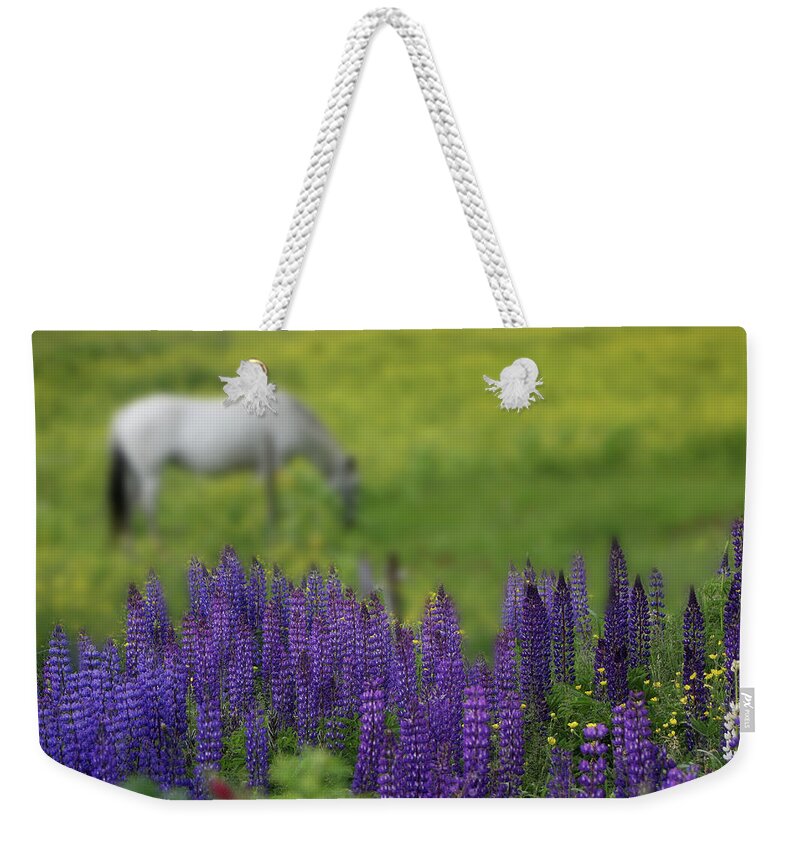 Horse Weekender Tote Bag featuring the photograph I Dreamed a Horse Among Lupine by Wayne King