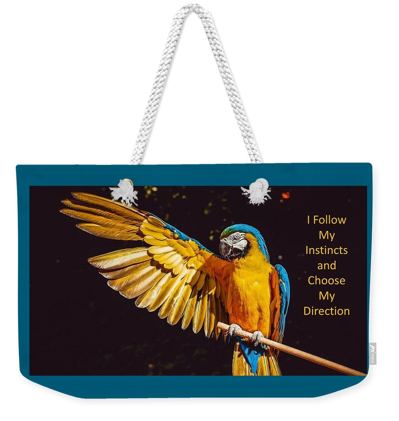 Parrot Weekender Tote Bag featuring the photograph I Follow My Instincts and Choose My Direction by Nancy Ayanna Wyatt