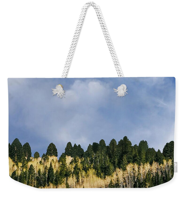 Nature Weekender Tote Bag featuring the photograph I Like To Watch by The Walkers