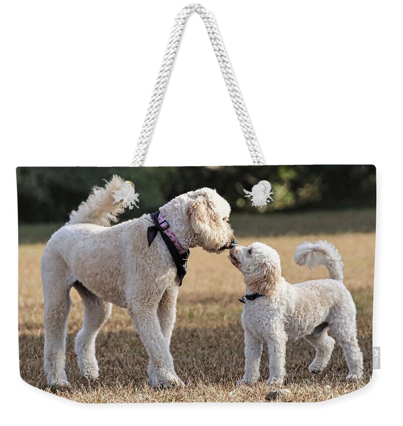 Dog Weekender Tote Bag featuring the photograph I like you by John Linnemeyer