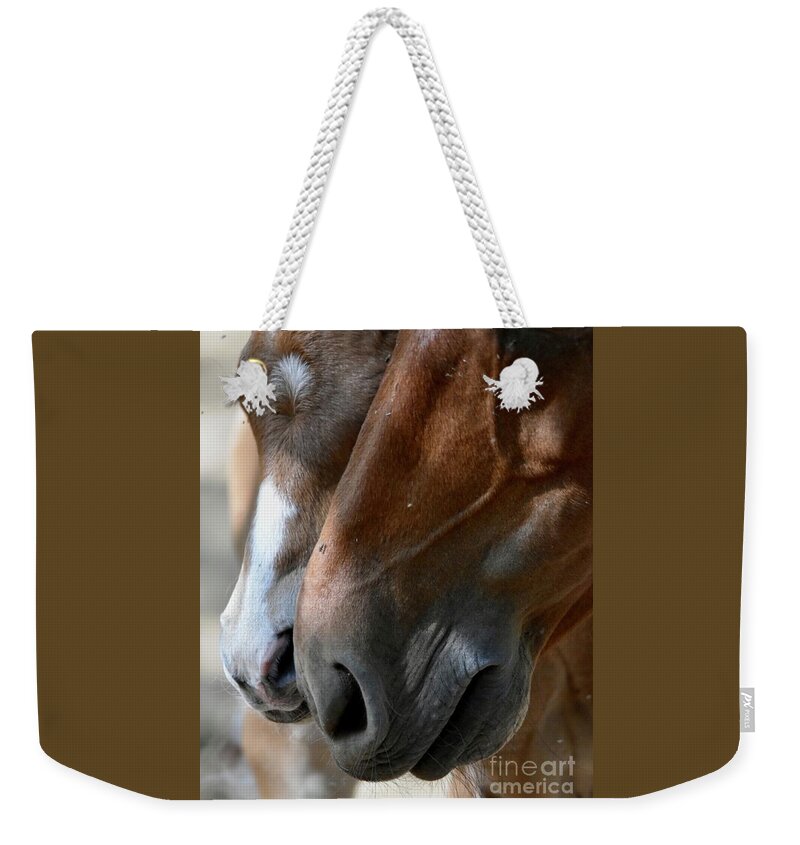 Salt River Wild Horses Weekender Tote Bag featuring the digital art I Love You Mommy by Tammy Keyes
