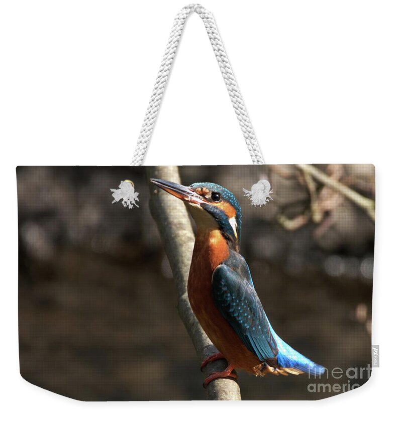 Nature Weekender Tote Bag featuring the photograph I saw you then by Stephen Melia