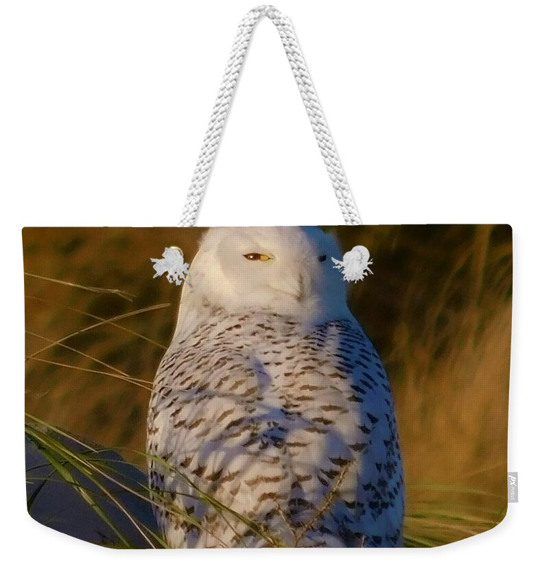 - I Still See You - Snowy Owl Weekender Tote Bag featuring the photograph - I still see you - Snowy Owl by THERESA Nye