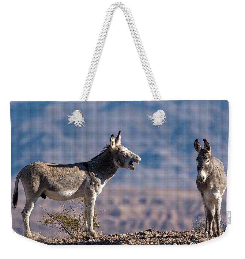Wild Burros Weekender Tote Bag featuring the photograph I told you by Mary Hone