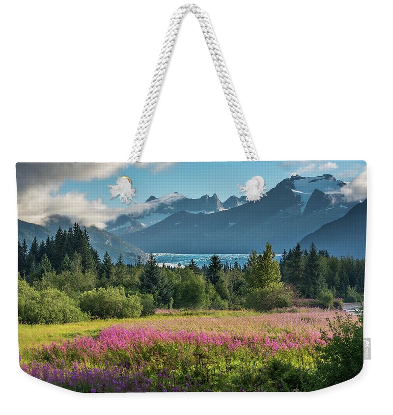 Fireweed Weekender Tote Bag featuring the photograph Ice over Fireweed by David Kirby