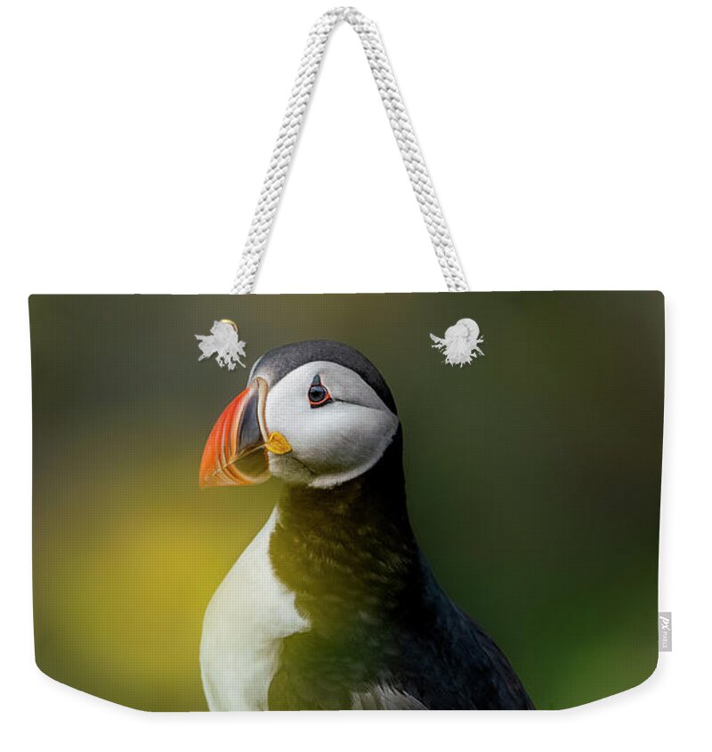 Puffin Weekender Tote Bag featuring the photograph Iceland - Atlantic puffin by Olivier Parent
