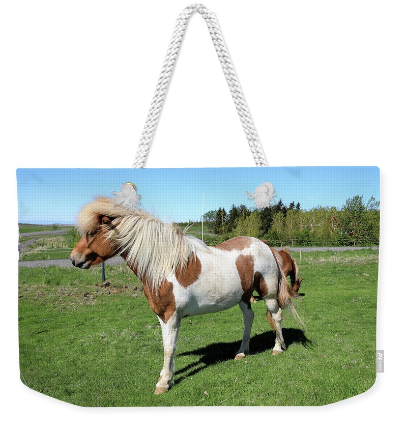 Horse Weekender Tote Bag featuring the photograph Icelandic Horse by Richard Krebs