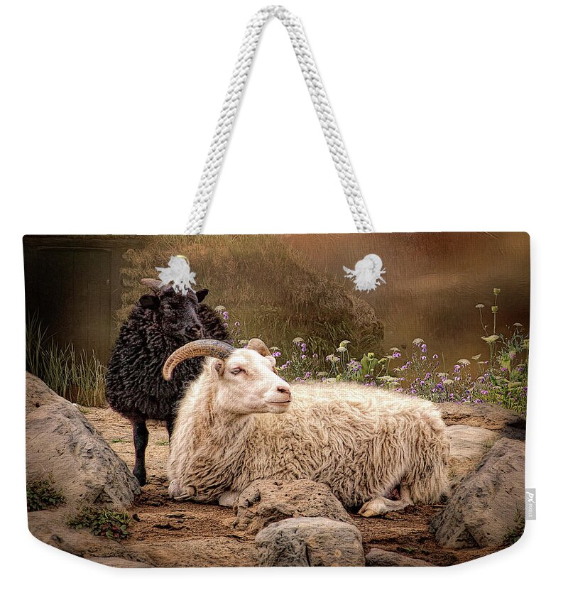 Icelandic Sheep Weekender Tote Bag featuring the digital art Icelandic Sheep by Maggy Pease