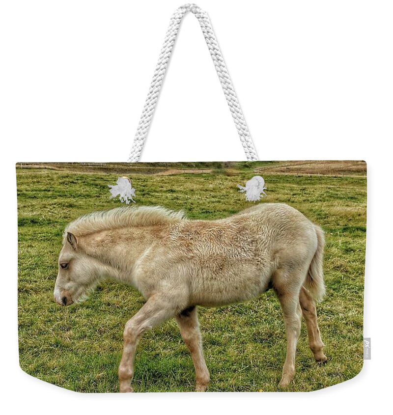 Iceland Weekender Tote Bag featuring the photograph Icelanding white Horse by Yvonne Jasinski