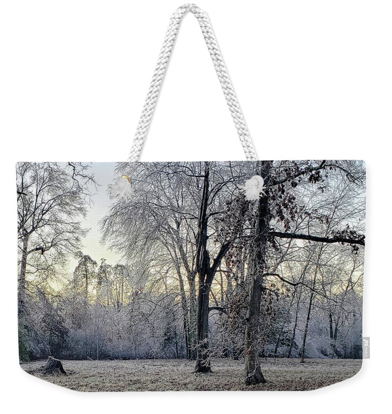 Historic Weekender Tote Bag featuring the photograph Icy Morning at Silverbrook Gateway by GeeLeesa