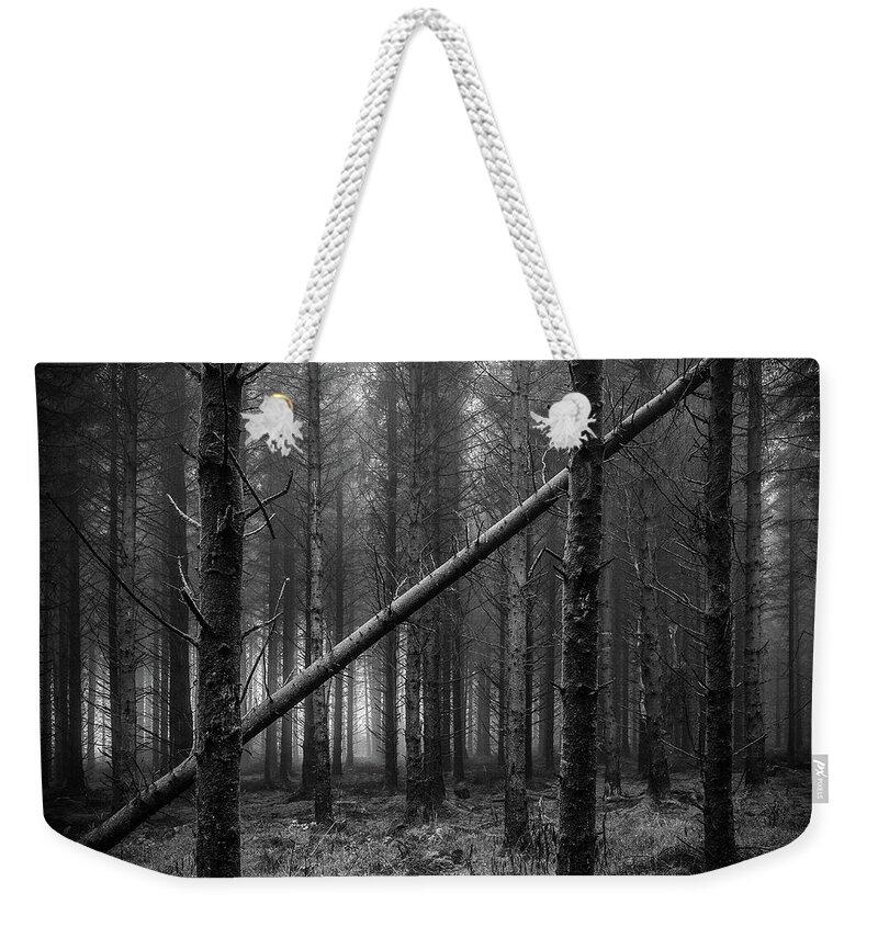 Forest Weekender Tote Bag featuring the photograph If a tree falls in a forest... by Nigel R Bell