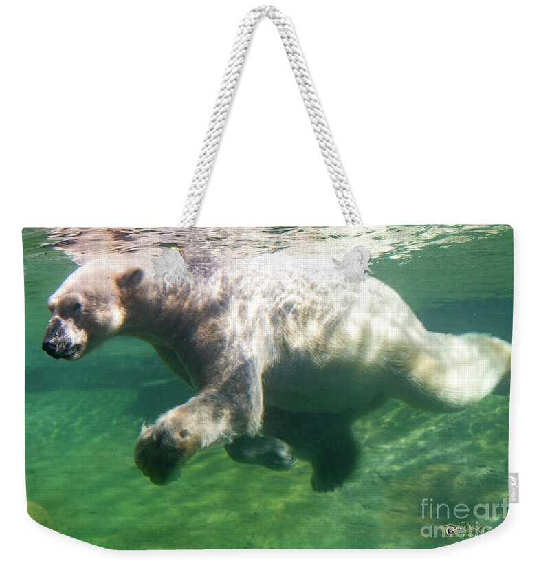 David Levin Photography Weekender Tote Bag featuring the photograph I'm Swimming as Fast as I Can by David Levin