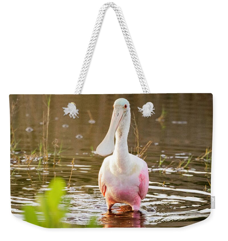 I5g_3472 Weekender Tote Bag featuring the photograph Images from the Dawn Patrol on Blackpoint Drive by Gordon Elwell