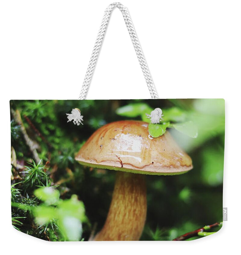 Hand Weekender Tote Bag featuring the photograph Imleria badia is squatting in the undergrowth. by Vaclav Sonnek