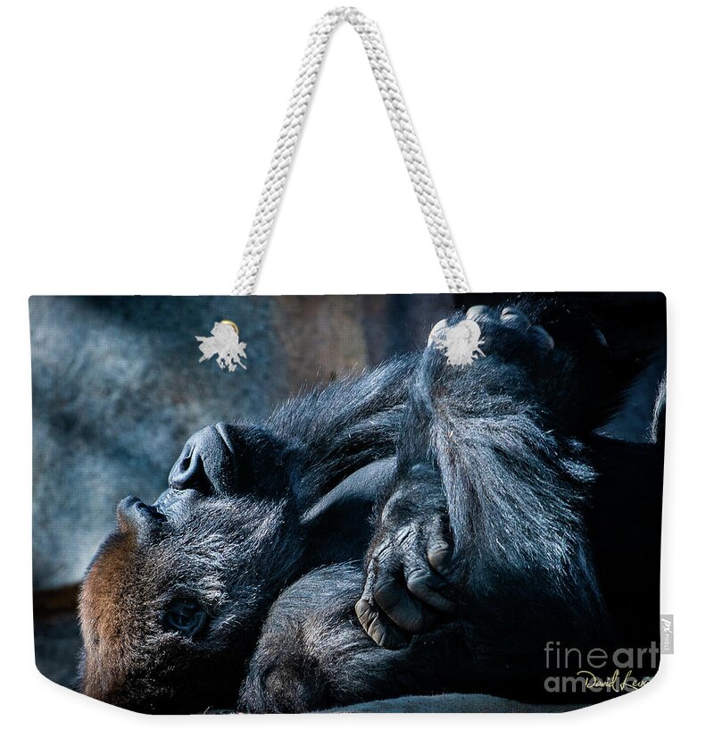 Animals Weekender Tote Bag featuring the photograph In Deep Thought by David Levin