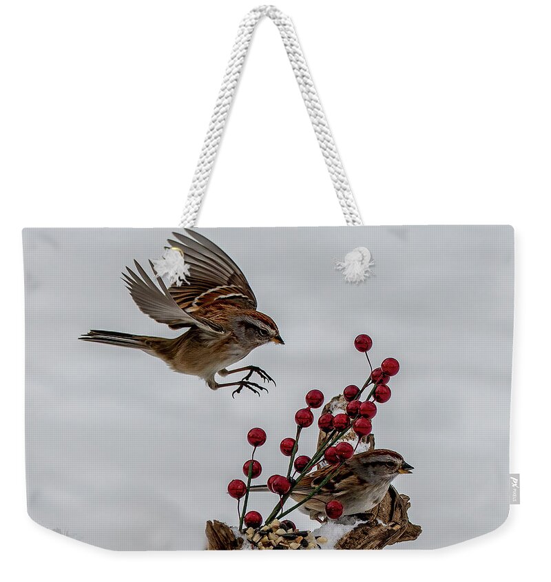 Sparrow Weekender Tote Bag featuring the photograph In for a Landing by Regina Muscarella