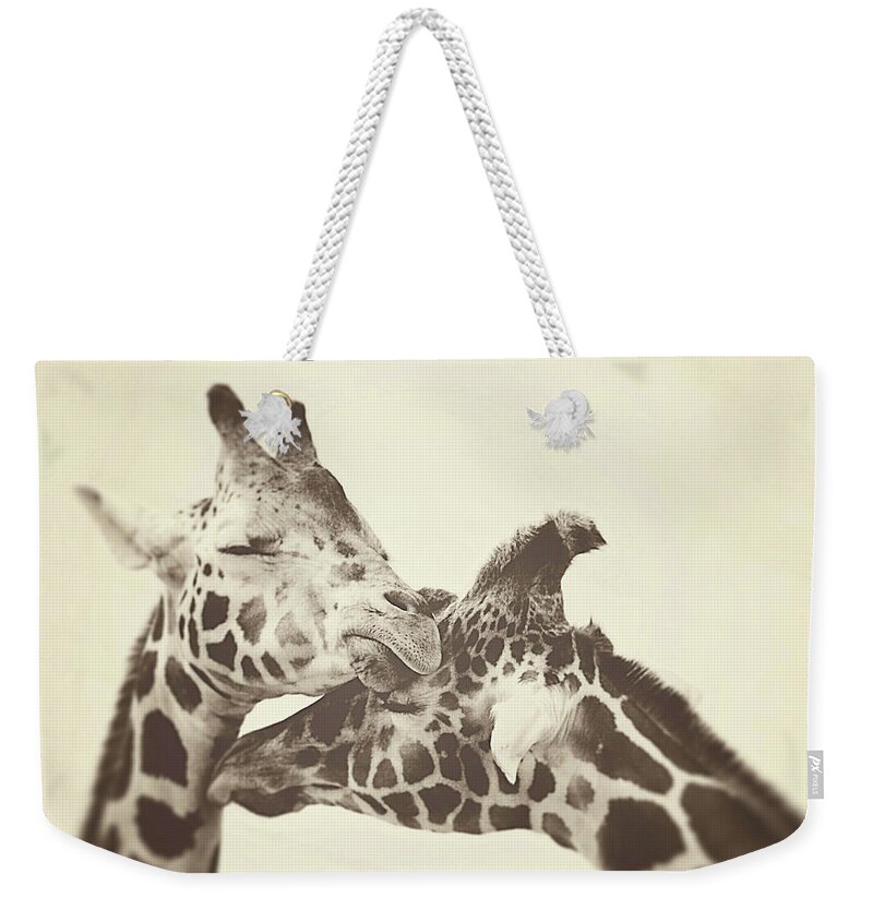 Sepia Weekender Tote Bag featuring the photograph In Love by Carrie Ann Grippo-Pike