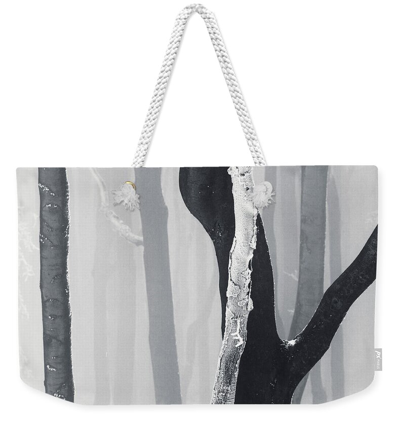 Mountain Weekender Tote Bag featuring the photograph In Love by Evgeni Dinev