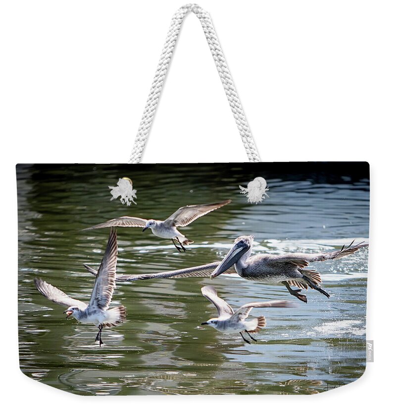 Pelicans Weekender Tote Bag featuring the digital art In Pursuit by Linda Lee Hall