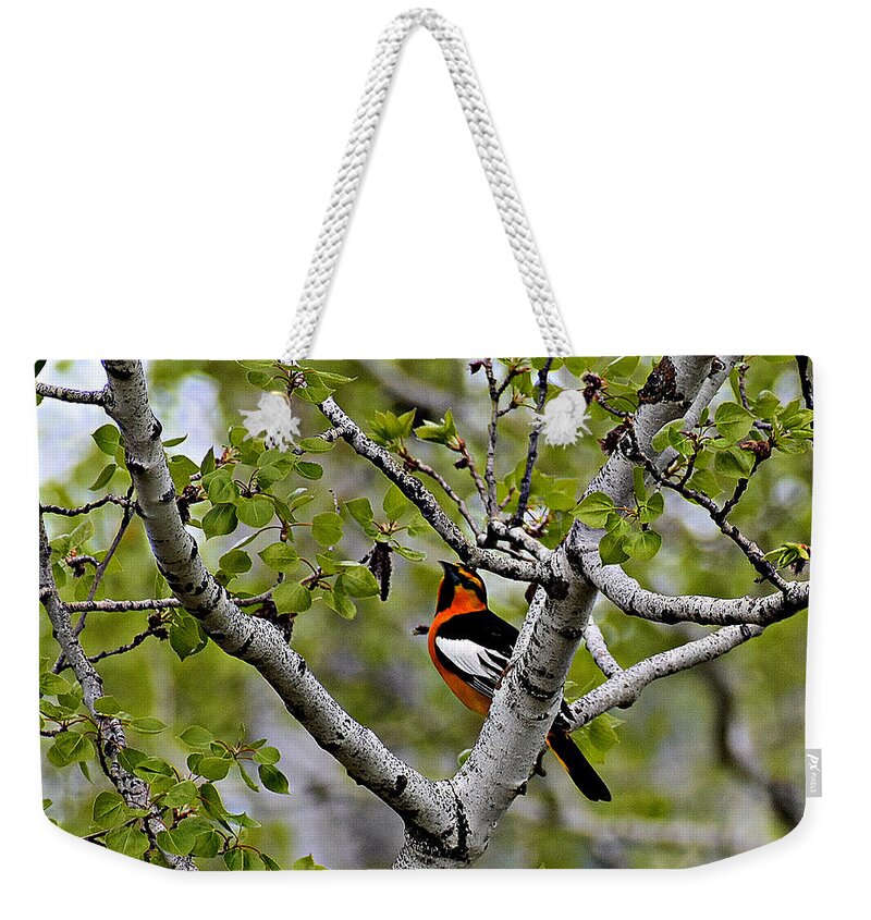 Bullock's Oriole Weekender Tote Bag featuring the photograph In the Aspen #1 by Dorrene BrownButterfield