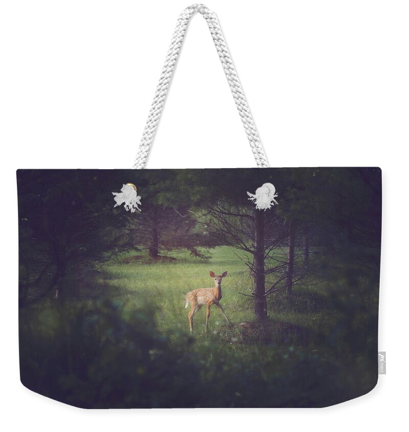 Carrie Ann Grippo-pike Weekender Tote Bag featuring the photograph In the Clearing at Dusk by Carrie Ann Grippo-Pike
