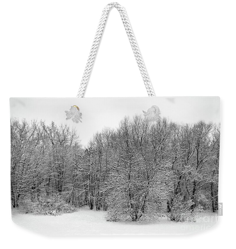 Winter Weekender Tote Bag featuring the photograph In the depth of winter, within me there lay an invincible summer 03 by Leonida Arte