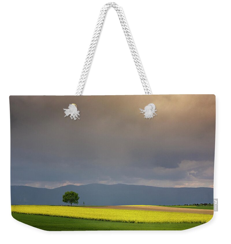 Rapeseed Weekender Tote Bag featuring the photograph In the light of spring by Dominique Dubied