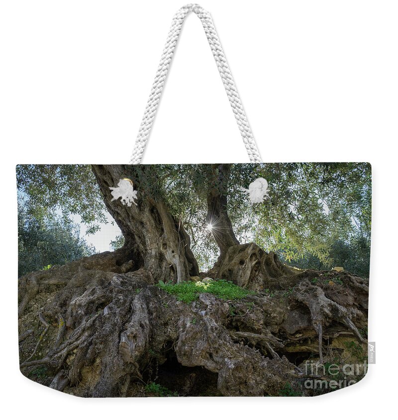 Olive Weekender Tote Bag featuring the photograph In the shade of the olive tree by Adriana Mueller
