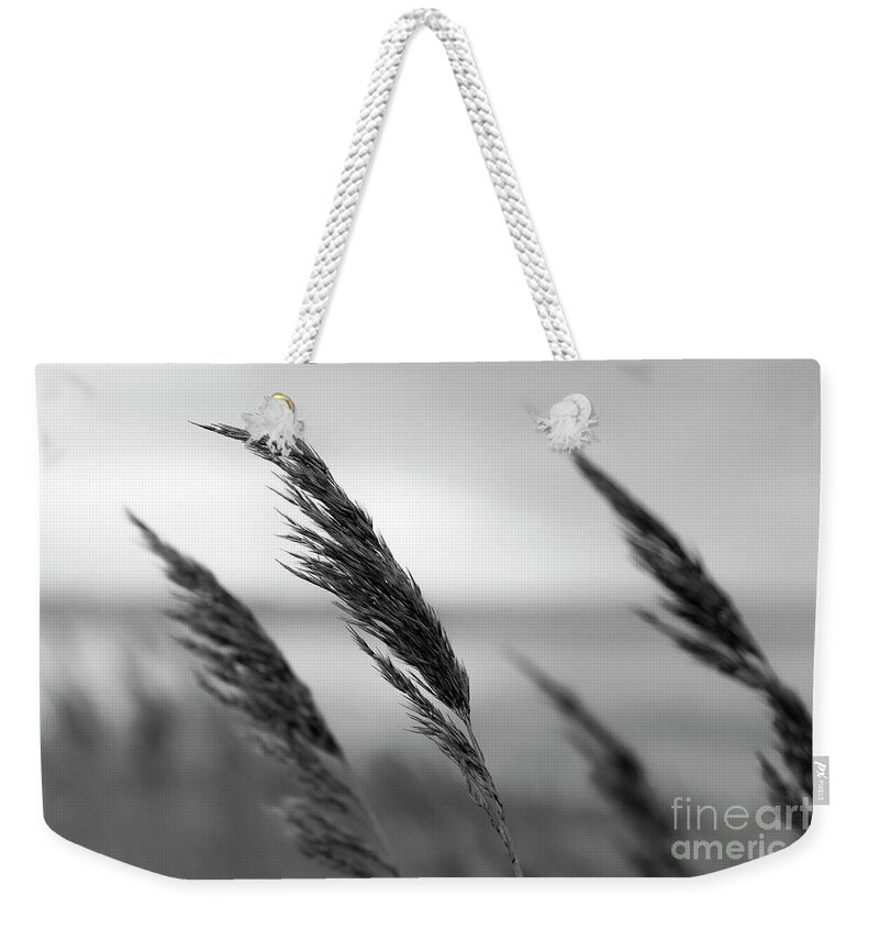 A Gentle Weekender Tote Bag featuring the photograph In the Soft Breeze - black and white version by Daniel M Walsh