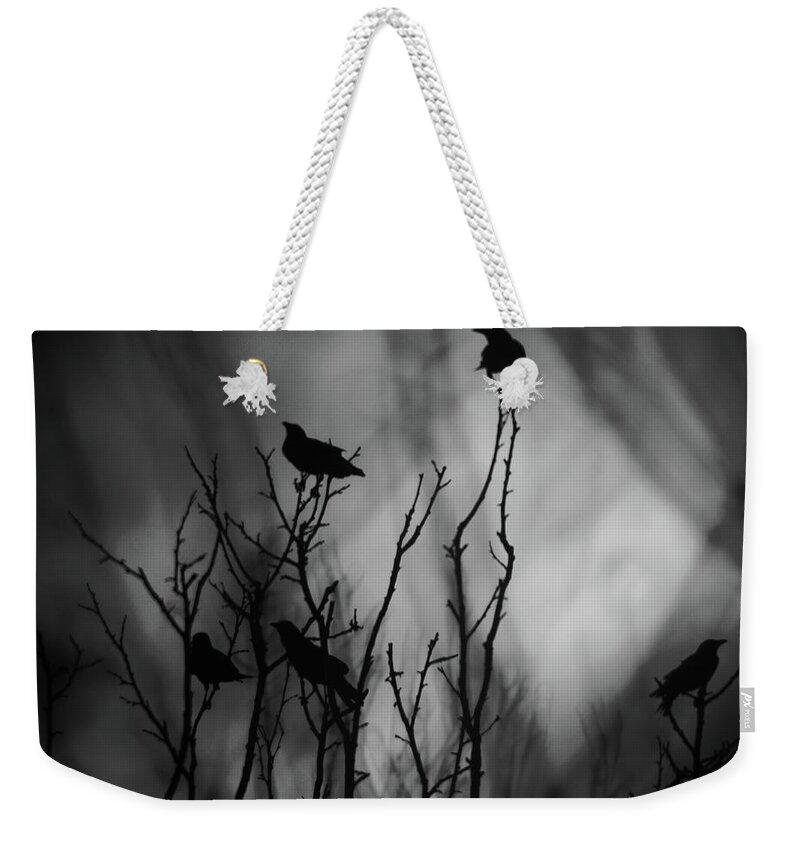  Weekender Tote Bag featuring the photograph In the Tree Tops by Stoney Lawrentz