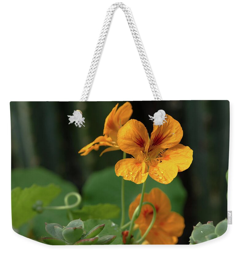 Macro Weekender Tote Bag featuring the photograph In the Woods by Laura Macky