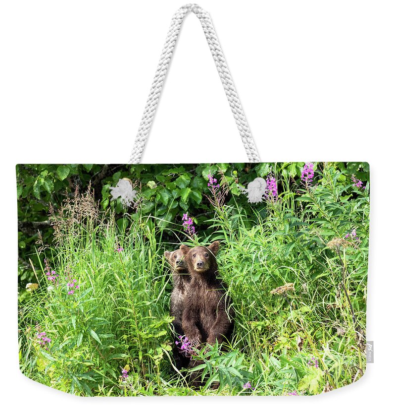 Brown Bear Weekender Tote Bag featuring the photograph Incognito by Shari Sommerfeld