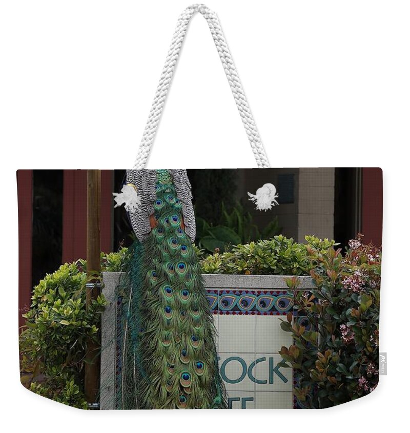 Indian Peafowl Weekender Tote Bag featuring the photograph Indian Peacock with iridescent Blue and Green Plumage by Mingming Jiang