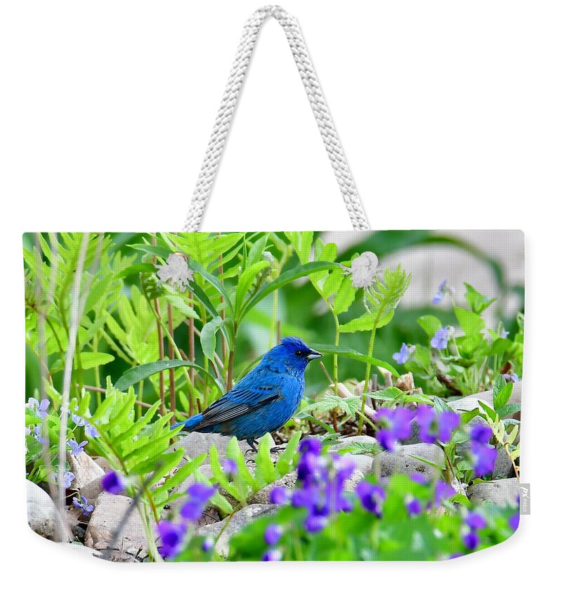 Indigo Bunting Weekender Tote Bag featuring the photograph Indigo and Violet by Michael Peychich