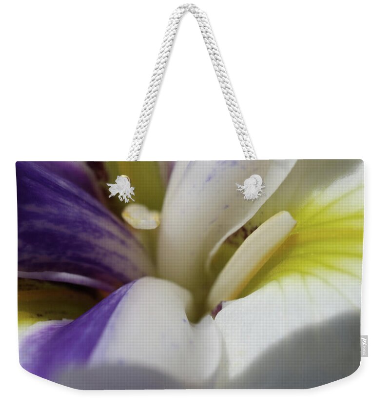 Lily Weekender Tote Bag featuring the photograph Inner Connection Colorful Lily by D Lee