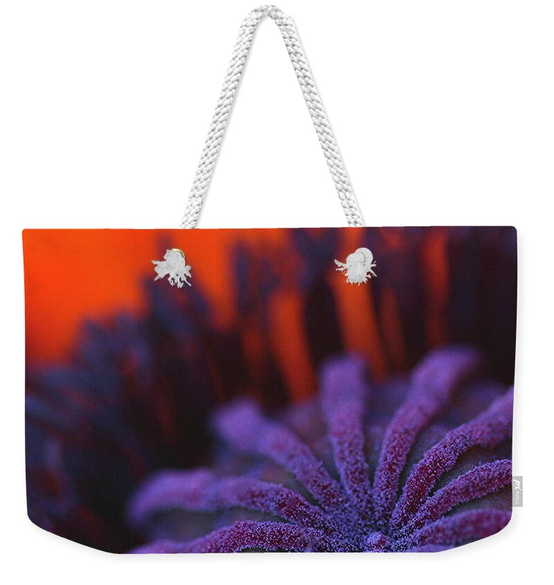 Macro Weekender Tote Bag featuring the photograph Inside Poppy 0607 by Julie Powell