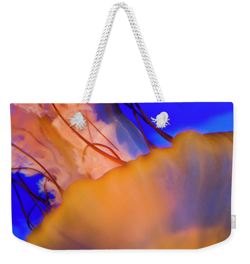 Jellyfish Weekender Tote Bag featuring the photograph Into The Blue by Melissa Southern