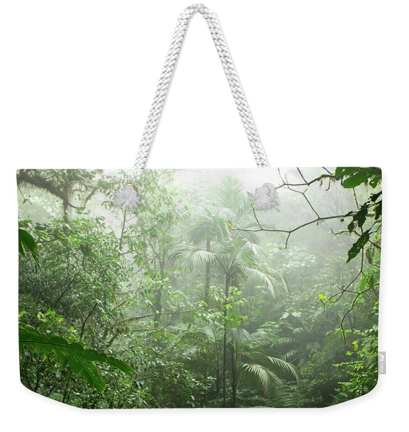 Rainforest Weekender Tote Bag featuring the photograph Into the Cloud Forest by Nicklas Gustafsson