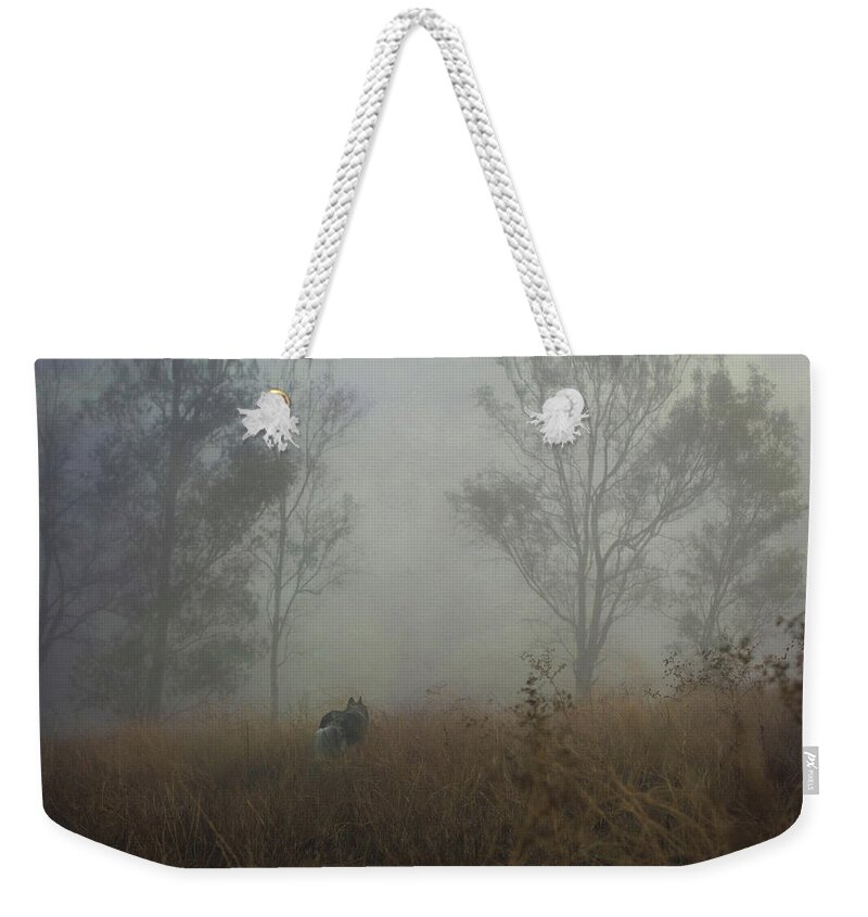 Fog Weekender Tote Bag featuring the digital art Into the Mist by Nicole Wilde
