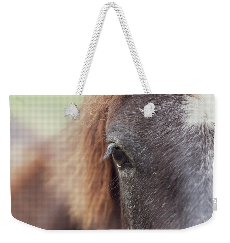Horse Weekender Tote Bag featuring the photograph Into the Soul by Holly Ross