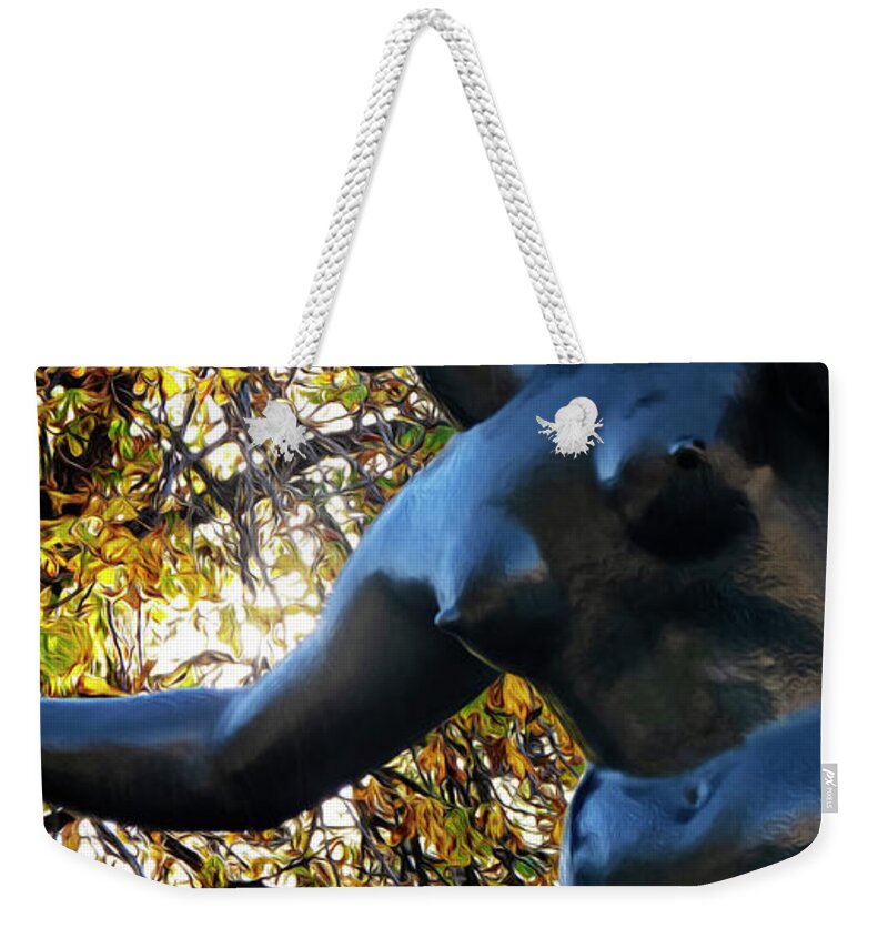 Sunset Weekender Tote Bag featuring the photograph Into the Sunset by Garth Glazier