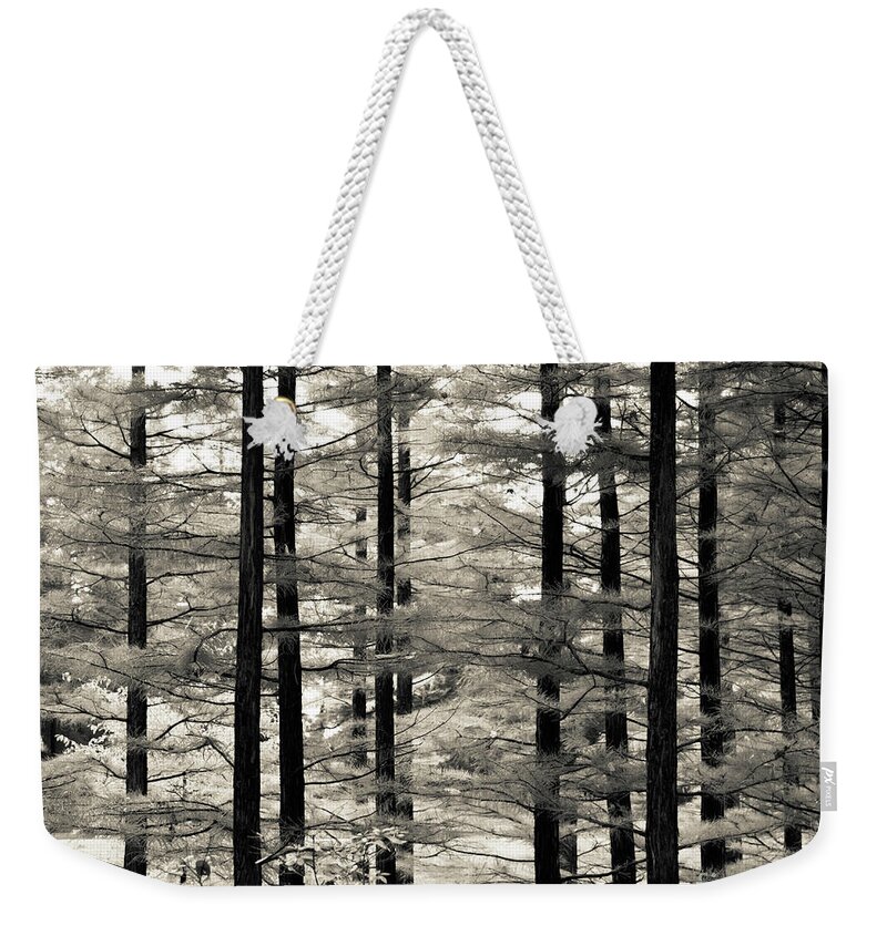 Monochrome Weekender Tote Bag featuring the photograph Into The Woods by Ana V Ramirez