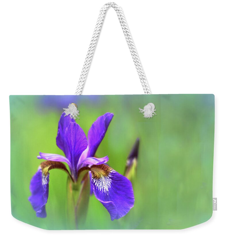 Iris Weekender Tote Bag featuring the photograph Iris Elegance by Jessica Jenney