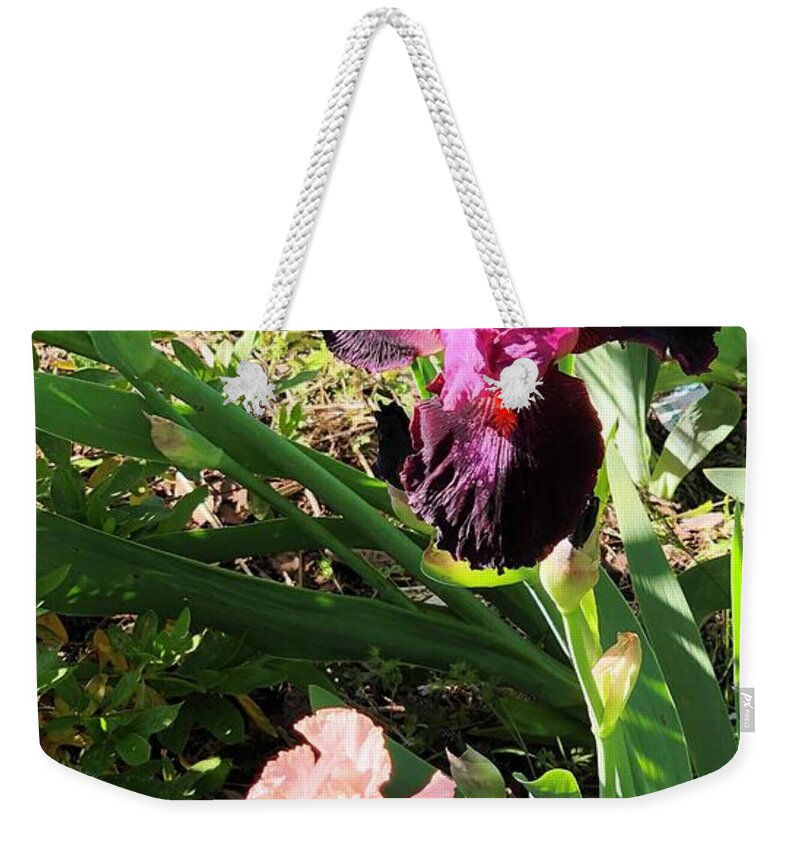 Iris Weekender Tote Bag featuring the photograph Catherine's IRIS Fiery Temper and Beverly Sills in Clayton, North Carolina by Catherine Ludwig Donleycott